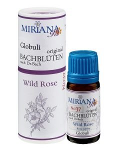 Eglantier - Wild rose 37 Fleur de Bach pour animaux